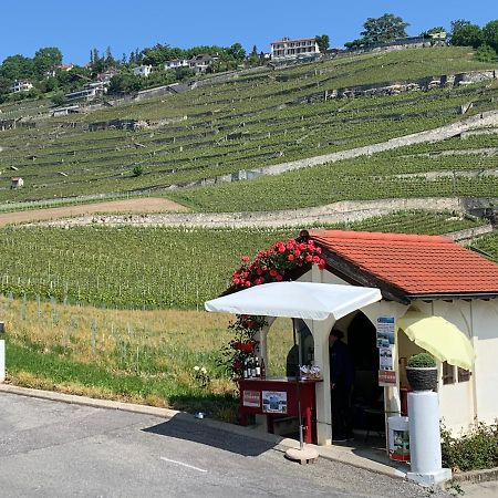 La Gremillette Gourmande Lavaux Apartment Rivaz ภายนอก รูปภาพ