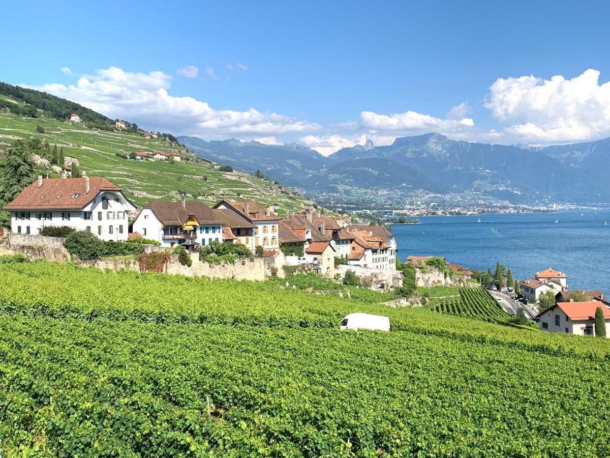 La Gremillette Gourmande Lavaux Apartment Rivaz ภายนอก รูปภาพ