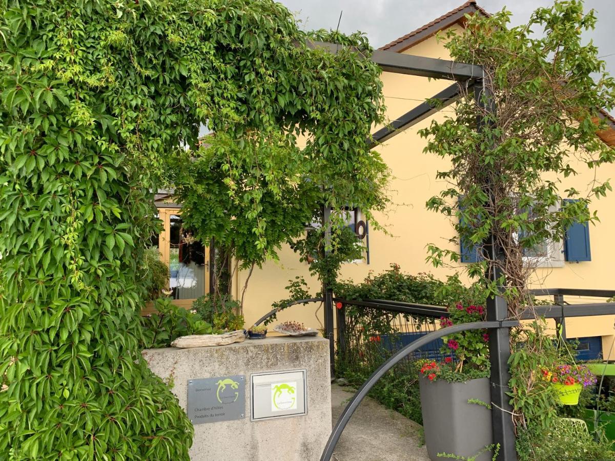 La Gremillette Gourmande Lavaux Apartment Rivaz ภายนอก รูปภาพ