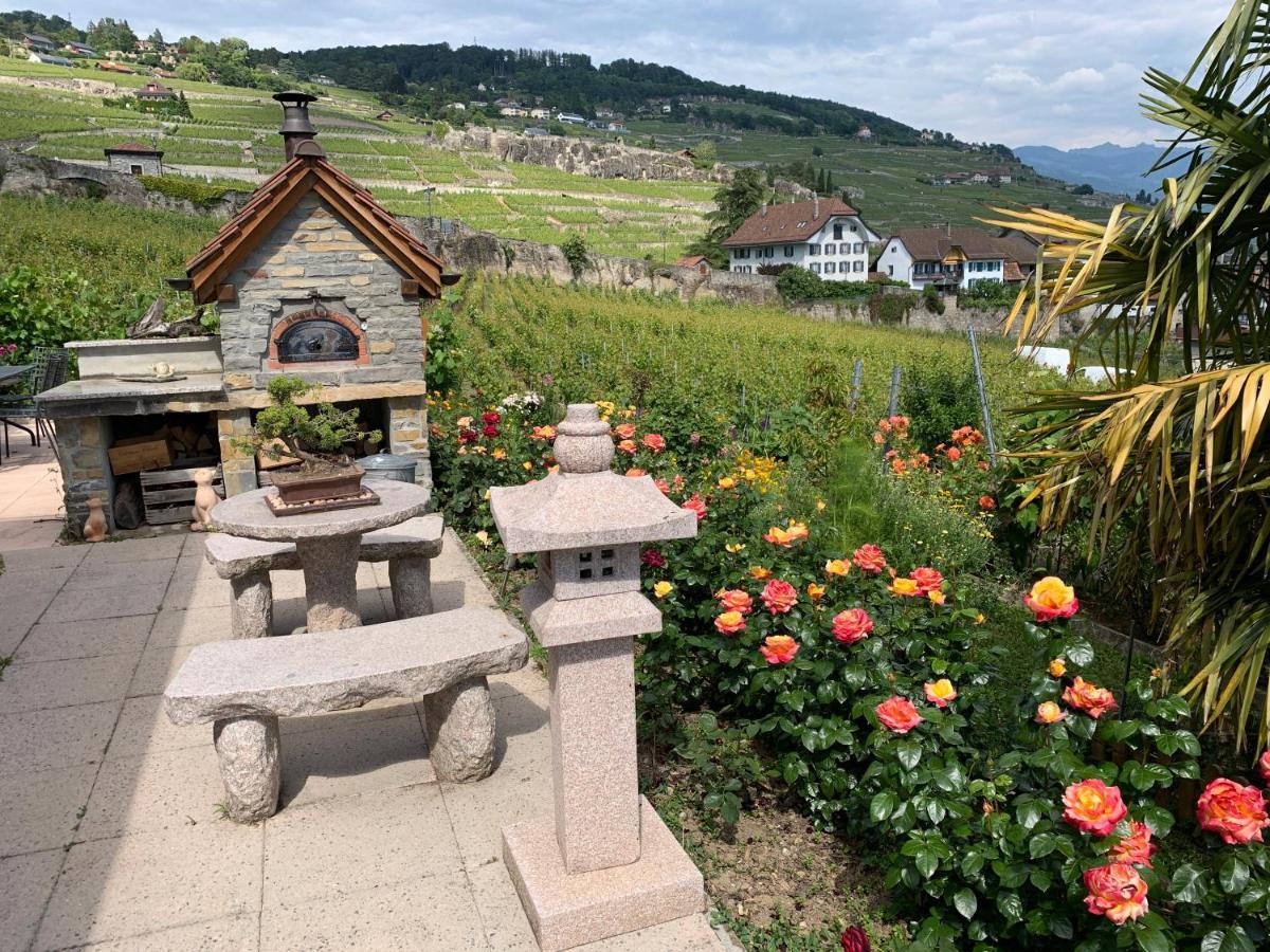 La Gremillette Gourmande Lavaux Apartment Rivaz ภายนอก รูปภาพ