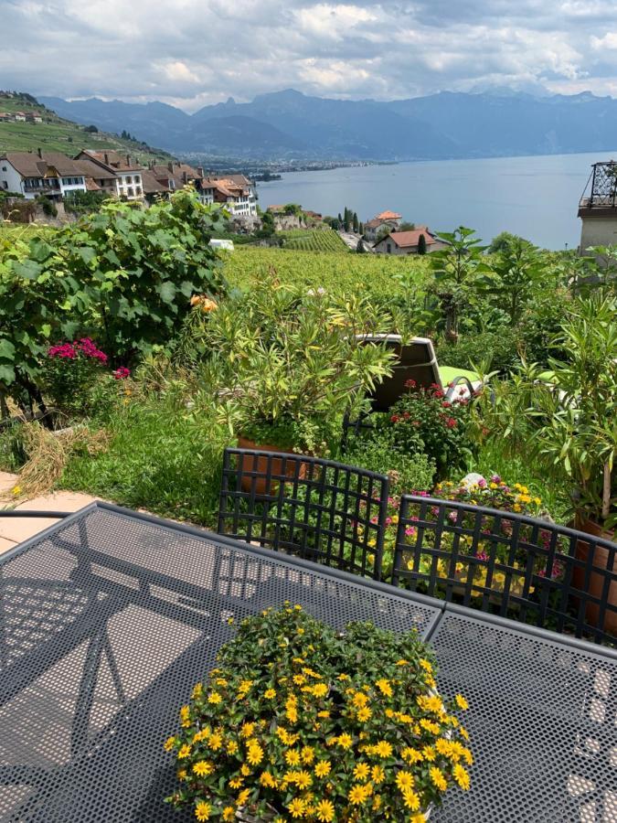La Gremillette Gourmande Lavaux Apartment Rivaz ภายนอก รูปภาพ