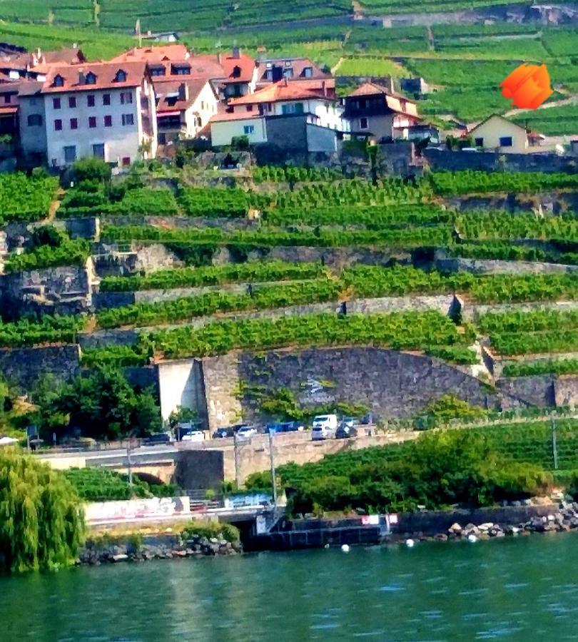 La Gremillette Gourmande Lavaux Apartment Rivaz ภายนอก รูปภาพ