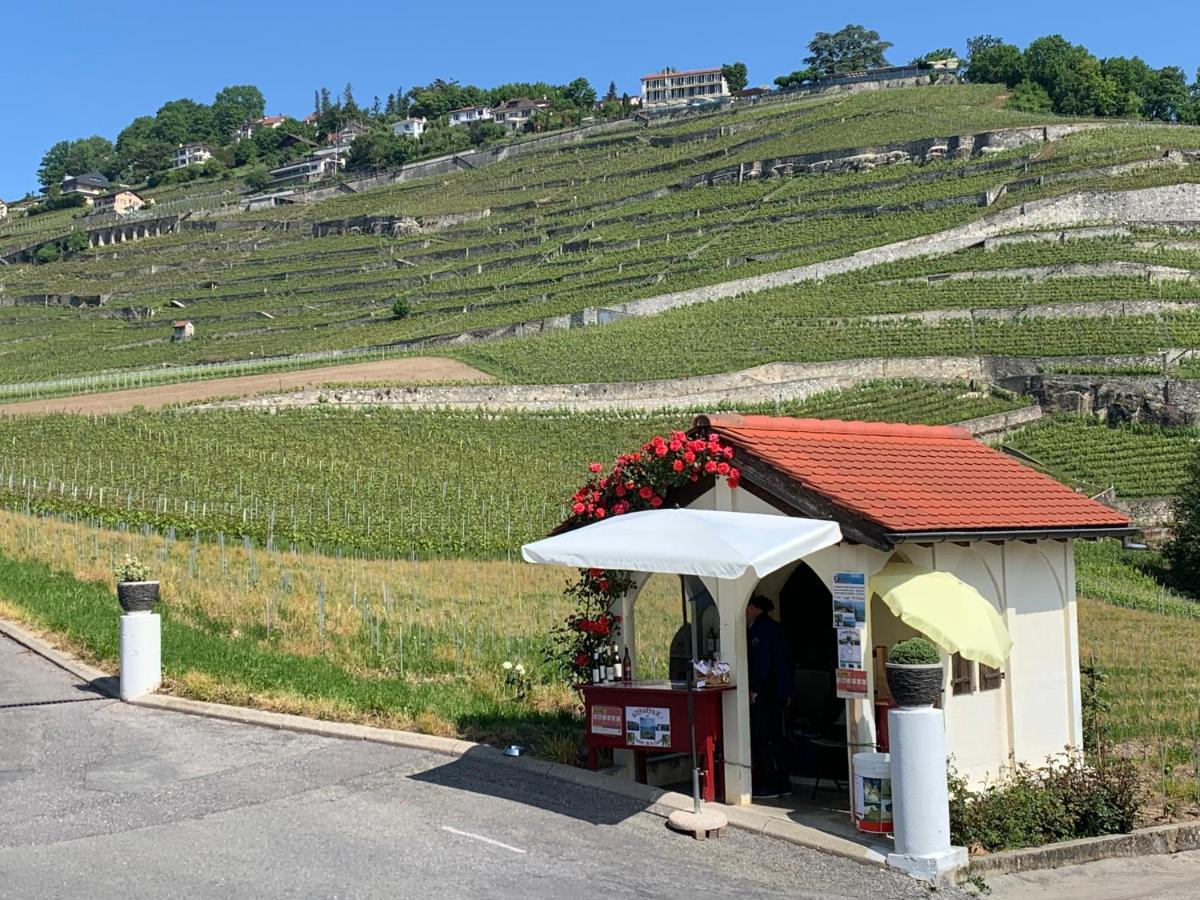 La Gremillette Gourmande Lavaux Apartment Rivaz ภายนอก รูปภาพ