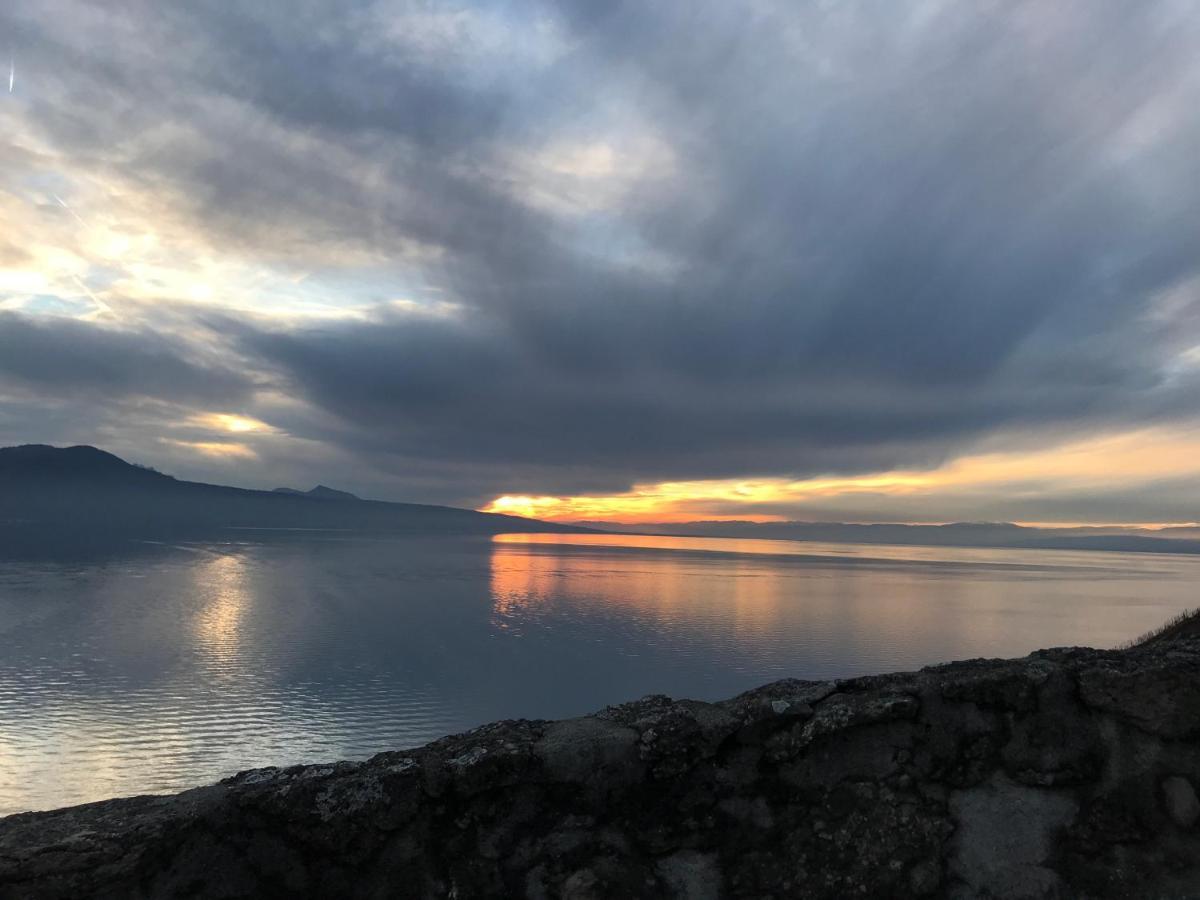 La Gremillette Gourmande Lavaux Apartment Rivaz ภายนอก รูปภาพ