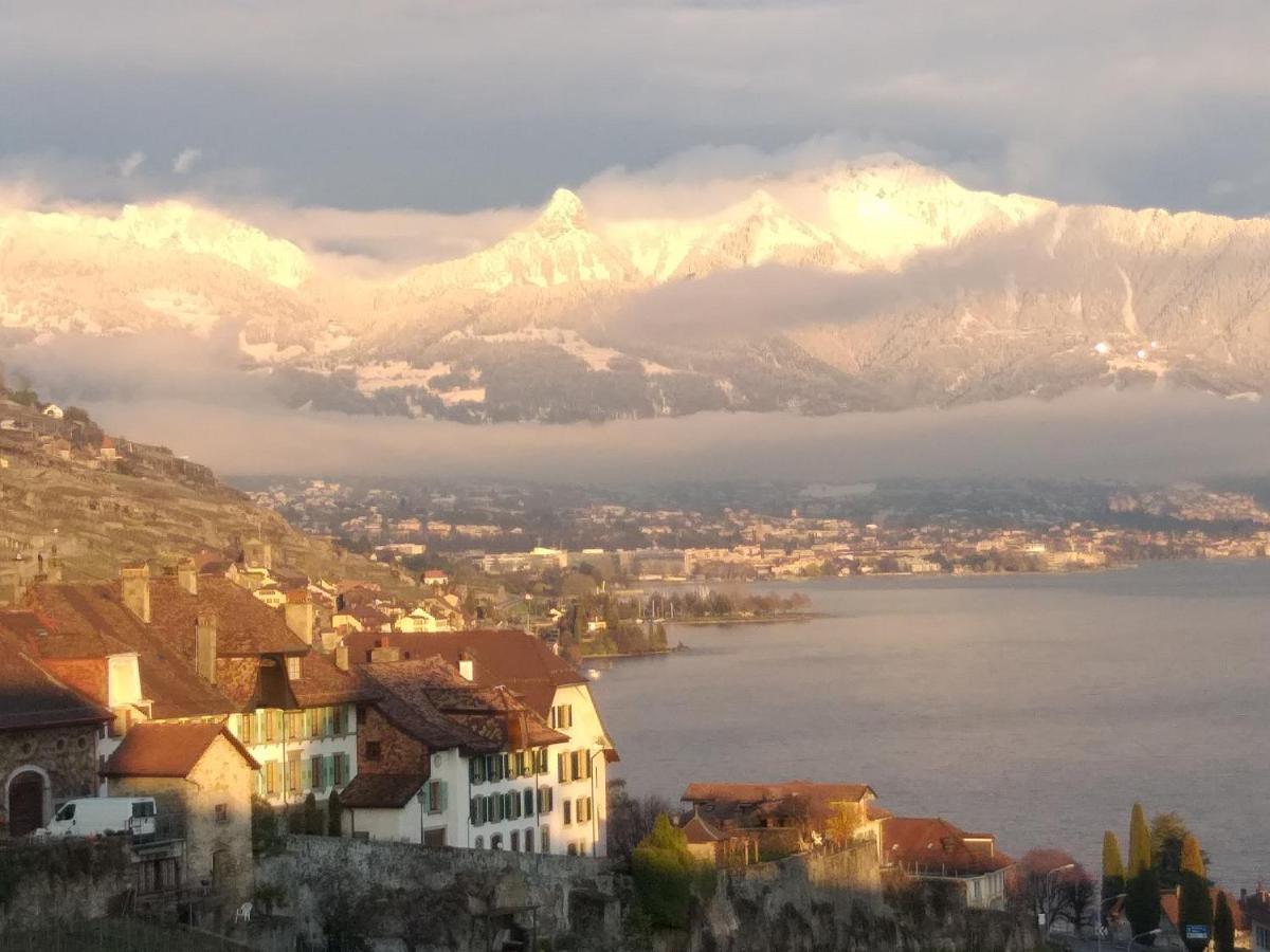 La Gremillette Gourmande Lavaux Apartment Rivaz ภายนอก รูปภาพ