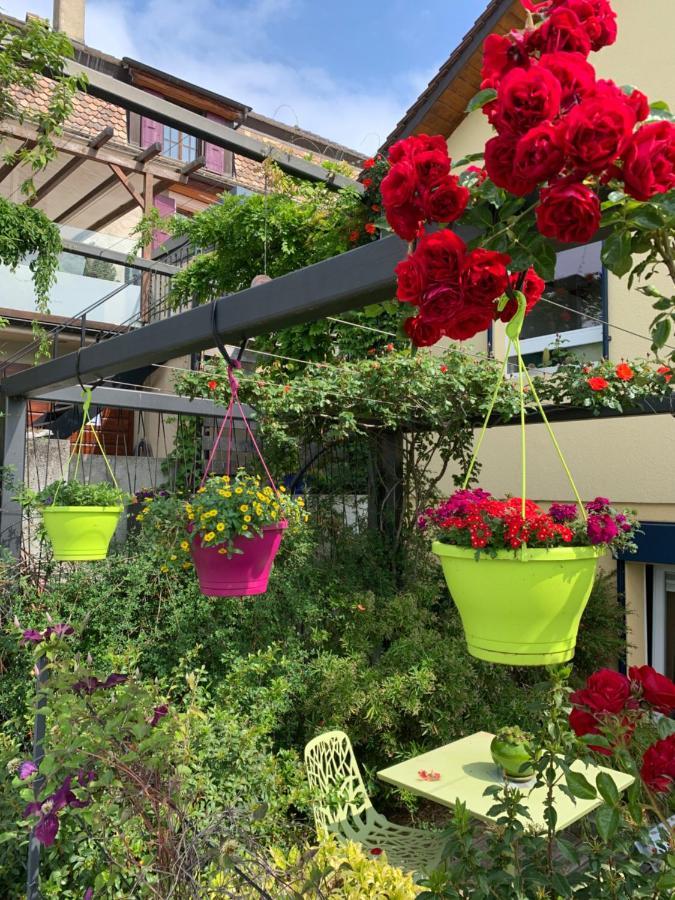 La Gremillette Gourmande Lavaux Apartment Rivaz ภายนอก รูปภาพ